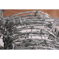 Electro and Hot Dipped Hot Dipped Barbe Wire (specialized manufacturer)